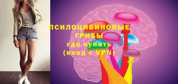 хмурый Бронницы